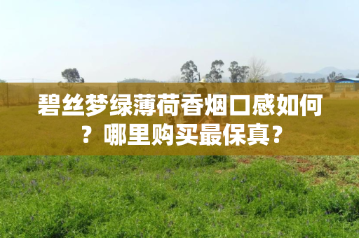 碧丝梦绿薄荷香烟口感如何？哪里购买最保真？