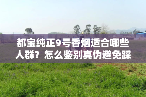 都宝纯正9号香烟适合哪些人群？怎么鉴别真伪避免踩坑？
