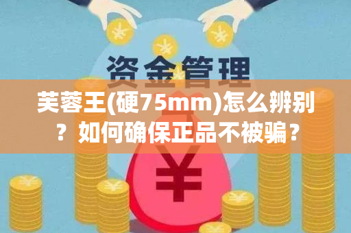 芙蓉王(硬75mm)怎么辨别？如何确保正品不被骗？